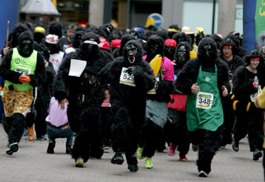 伦敦举行“大猩猩”跑比赛