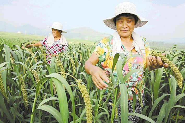 “职业农民”助力现代农业发展