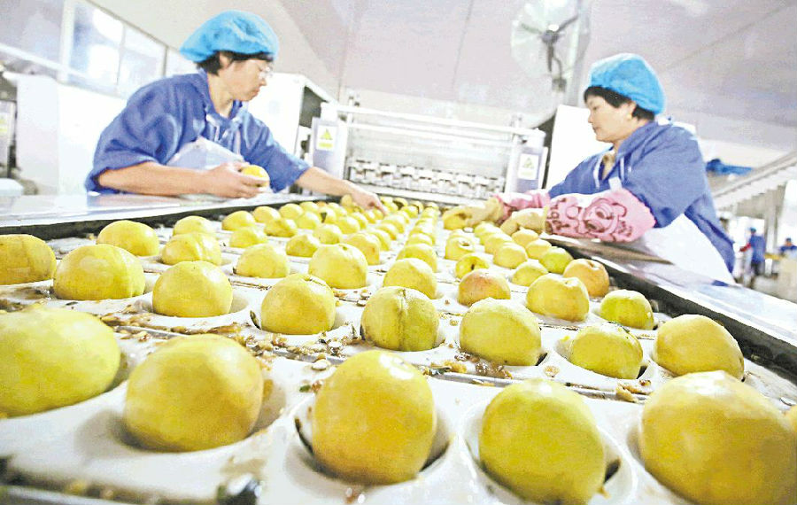 目前,企业年加工水果罐头1.5万吨,消耗1万吨鲜桃和1.
