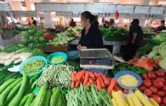 日照本周蔬菜价格继续上涨