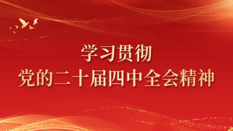 学习贯彻党的二十届四中全会精神
