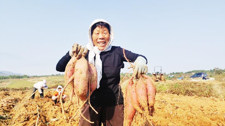 特色农业助农增收