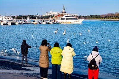 西伯利亚“白精灵”赴约日照