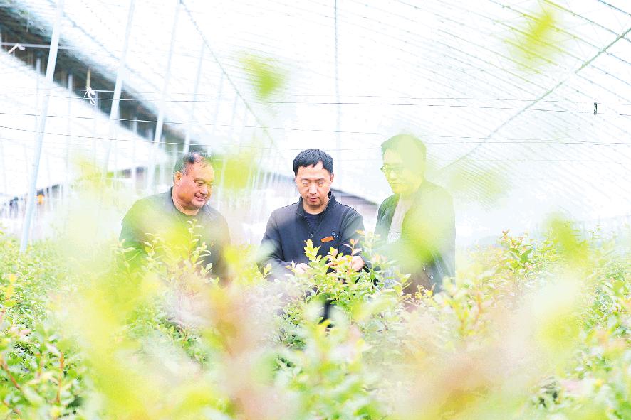 扎根田间地头 建设富美乡村