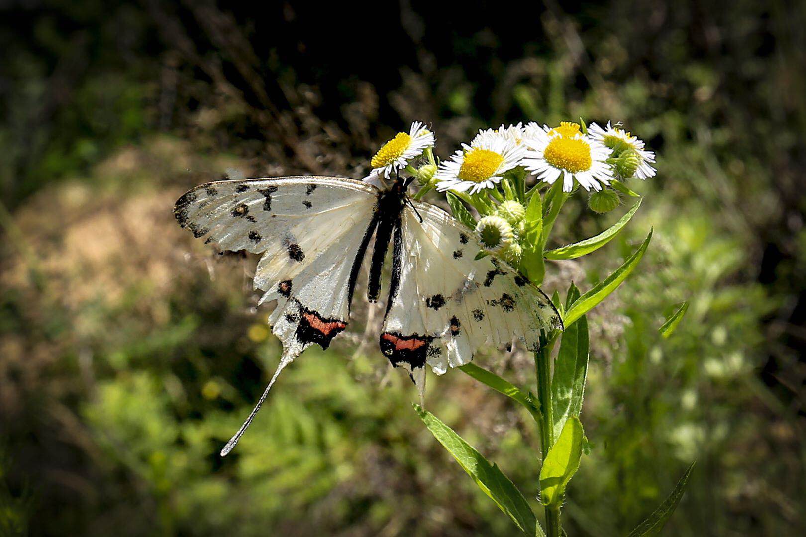 每日图片｜风光如诗 景如画