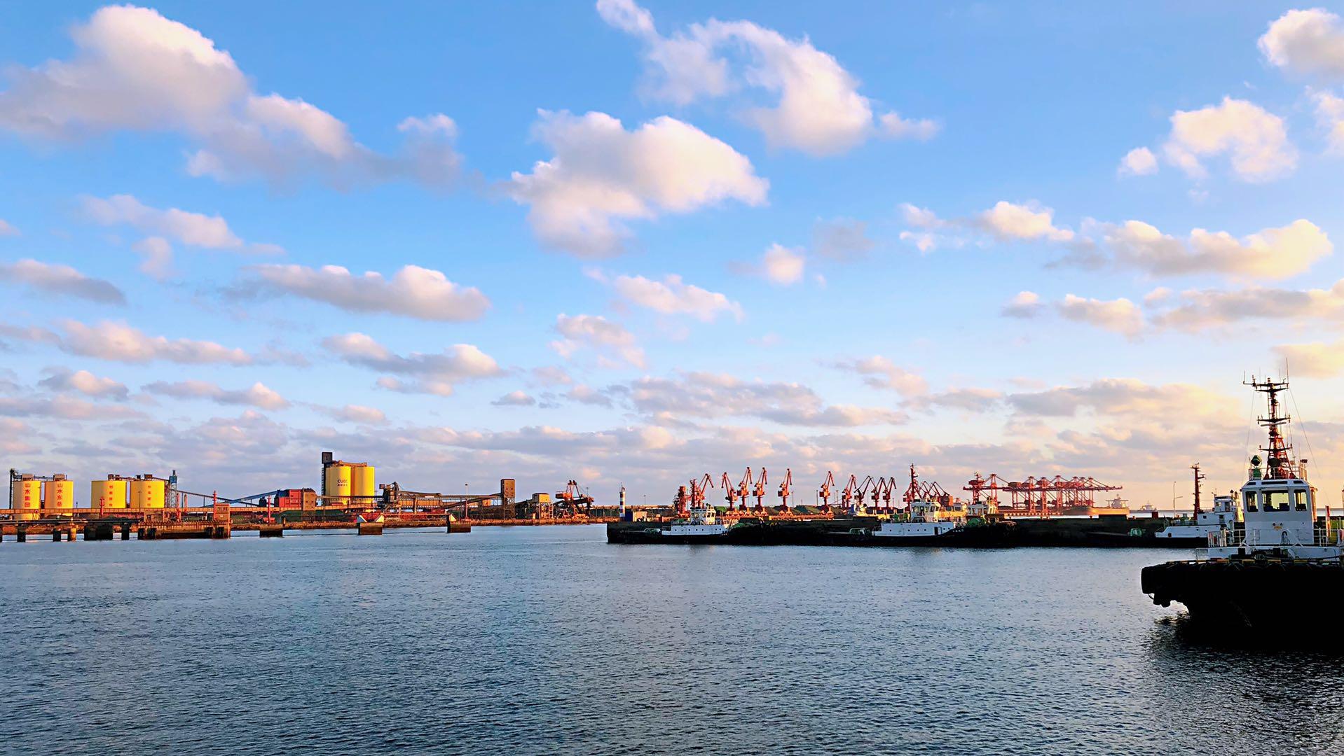 每日图片｜大美日照港