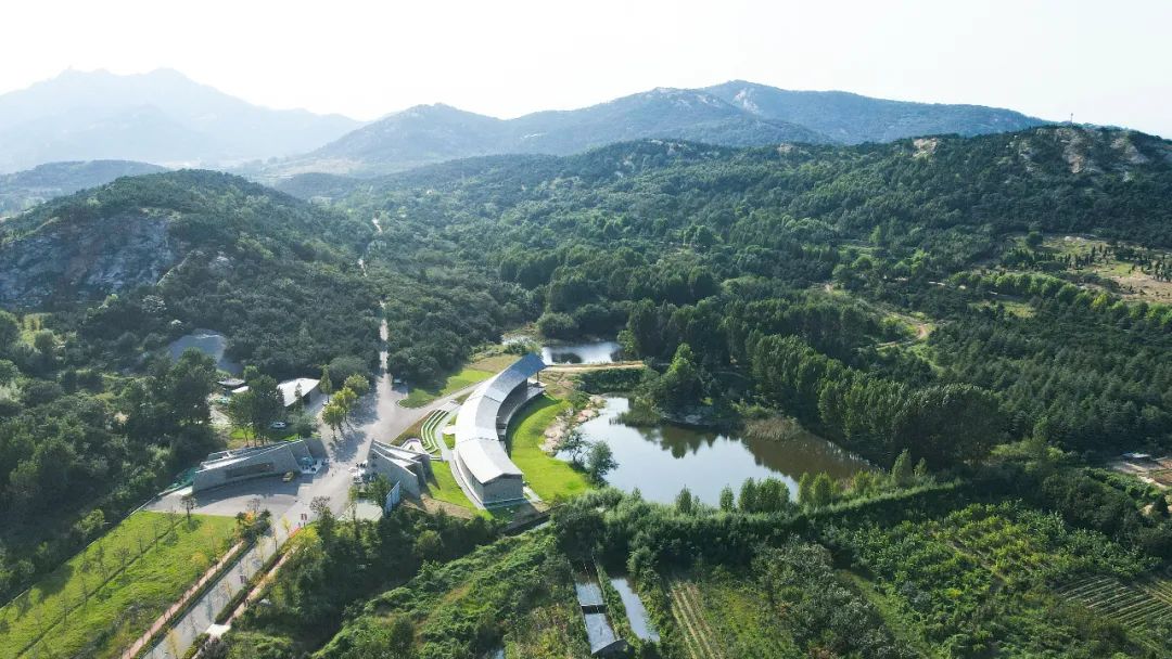 梅花过境天放晴驻龙山风景区恢复开放